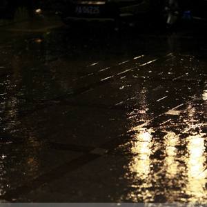 插美女屁股视频下载
